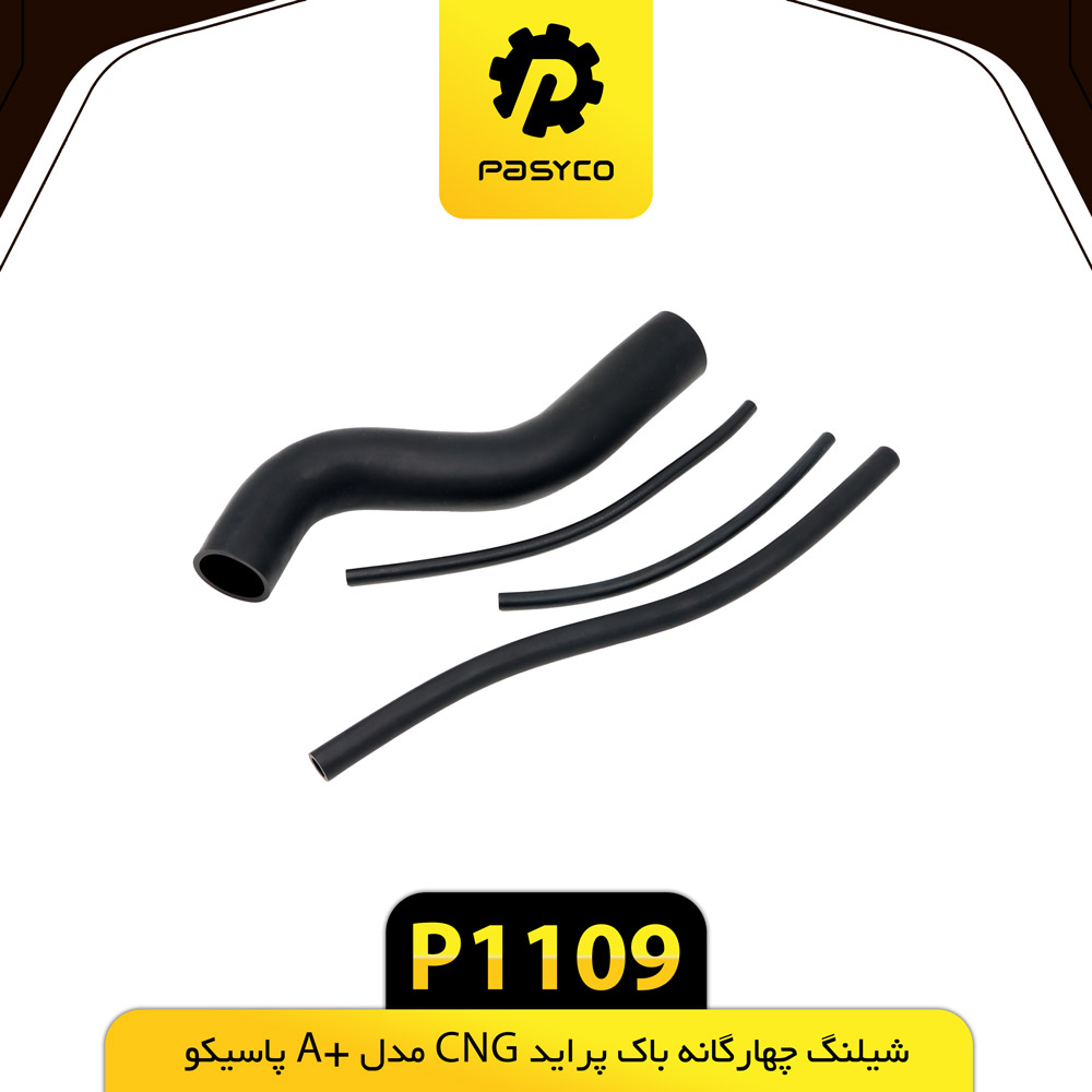 P1109 جنت (شيلنگ) چهار گانه باک پرايد CNG مدل +A پاسيکو - تصویر 1