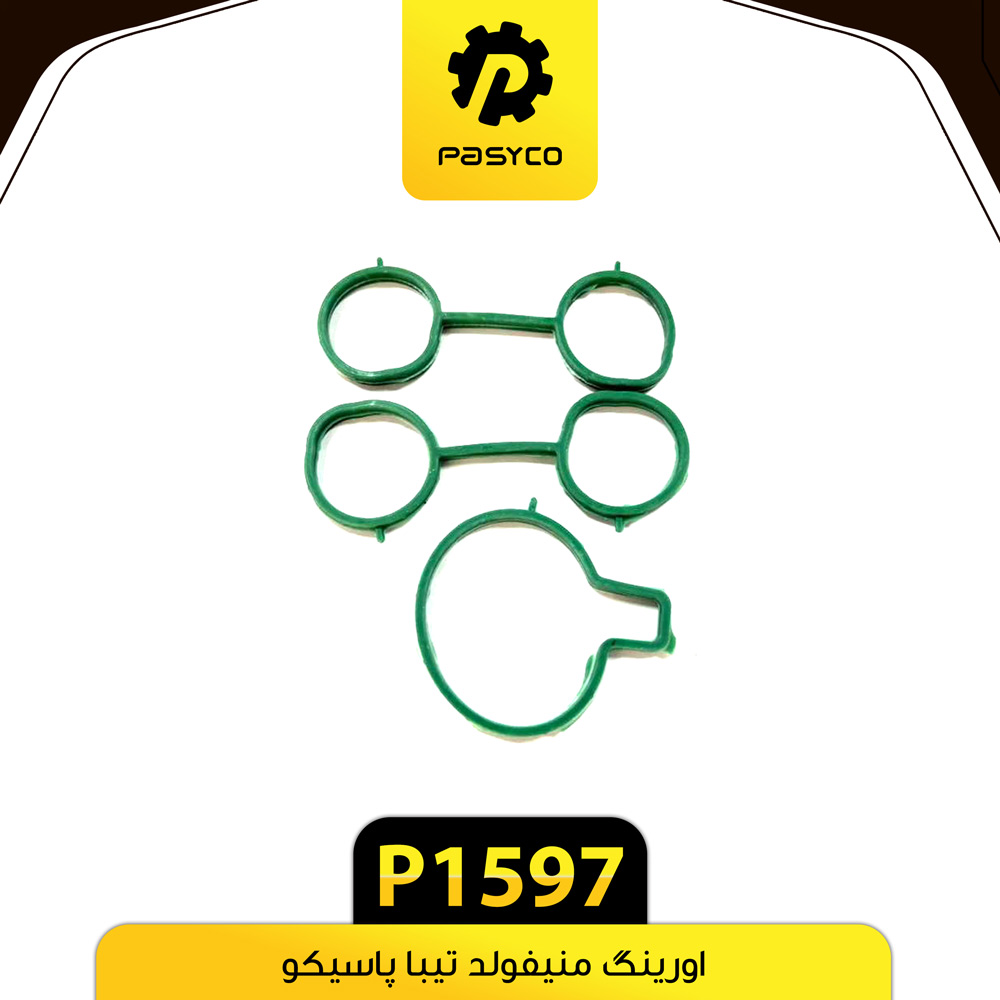 P1597 اورينگ منيفولد تيبا پاسيکو - تصویر 1