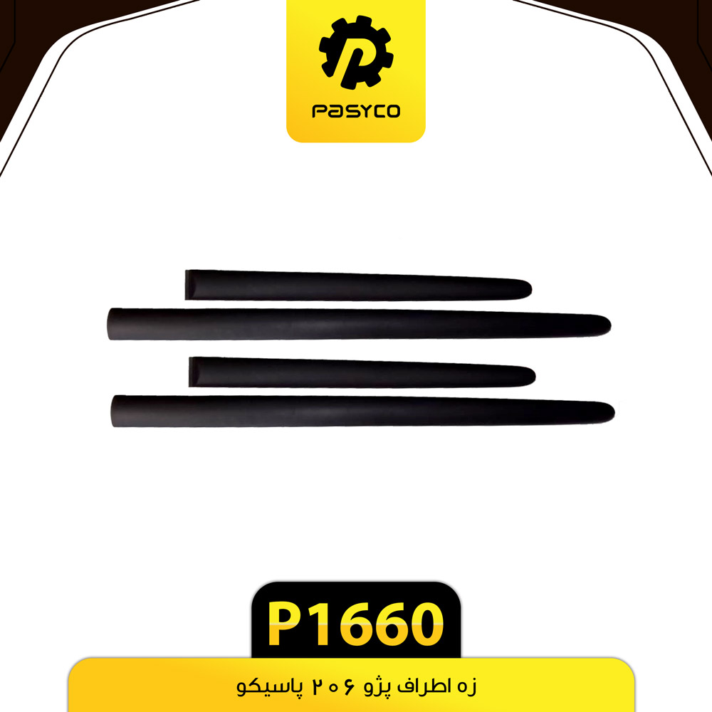 P1660 زه اطراف پژو 206 پاسيکو - تصویر 1
