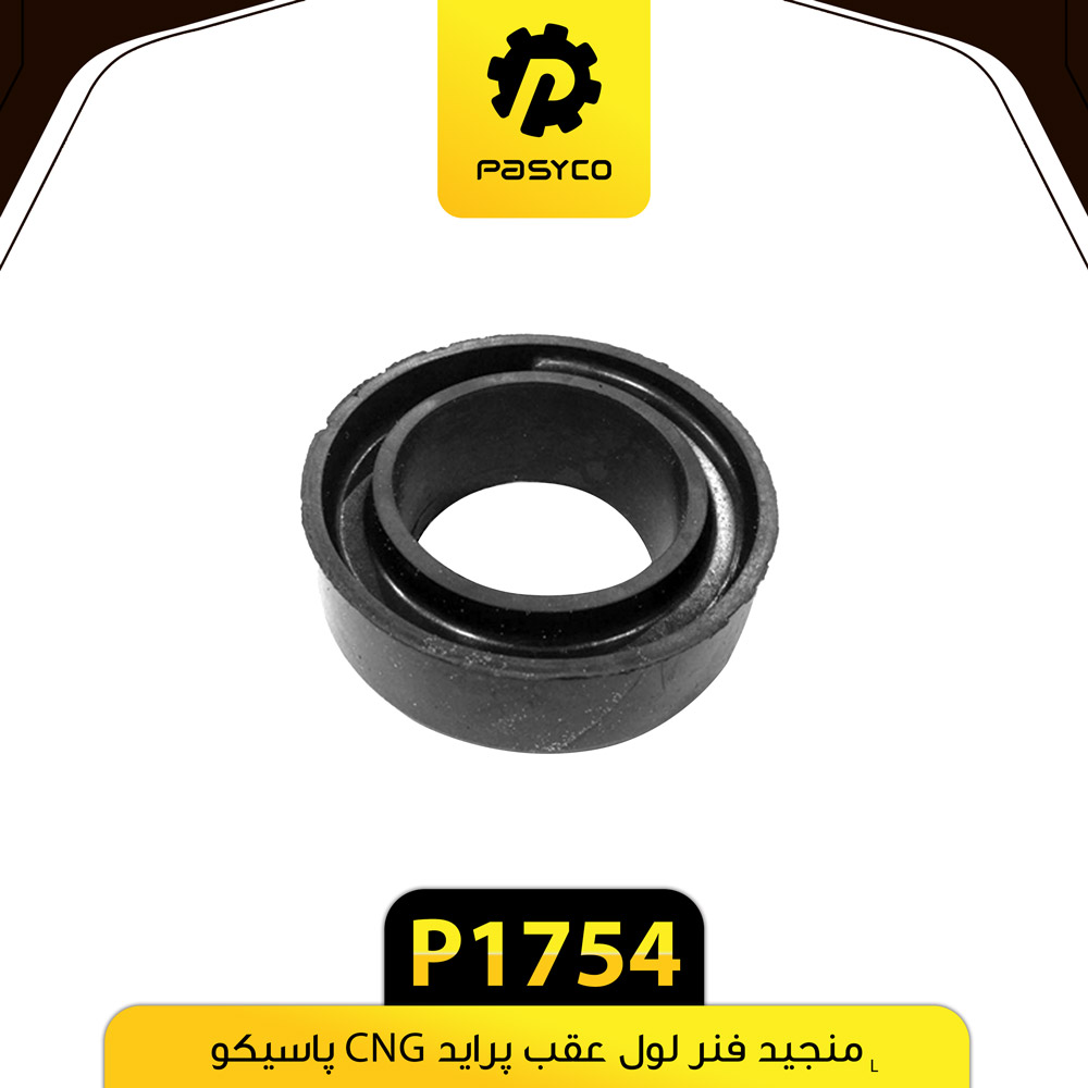 P1754 منجيد فنر لول عقب پرايد CNG پاسيکو - تصویر 1