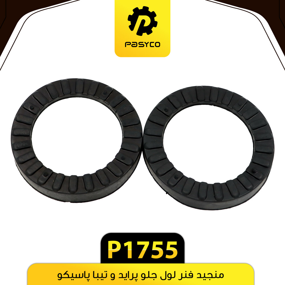 P1755 منجيد فنر لول جلو پرايد و تيبا پاسيکو - تصویر 1