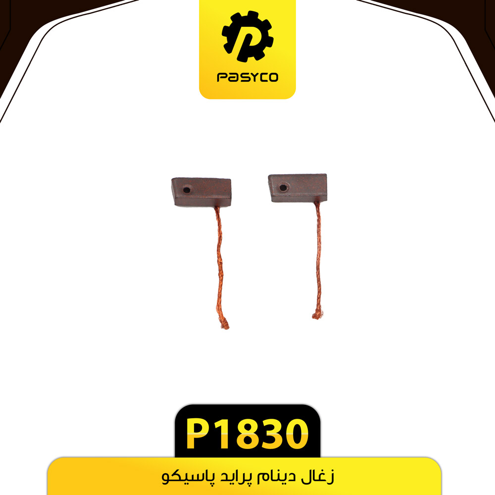 P1830 ذغال دينام پرايد پاسيکو - تصویر 1