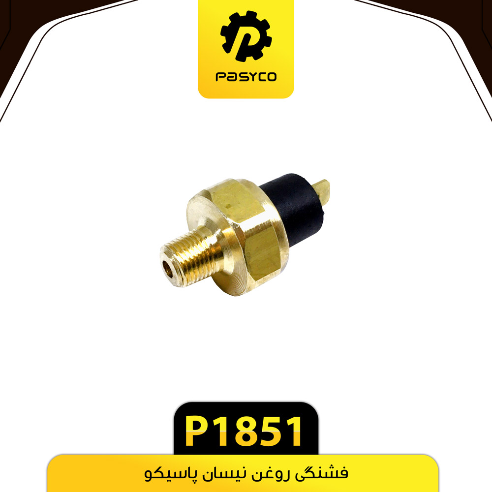 P1851 فشنگي روغن نيسان پاسيکو - تصویر 1