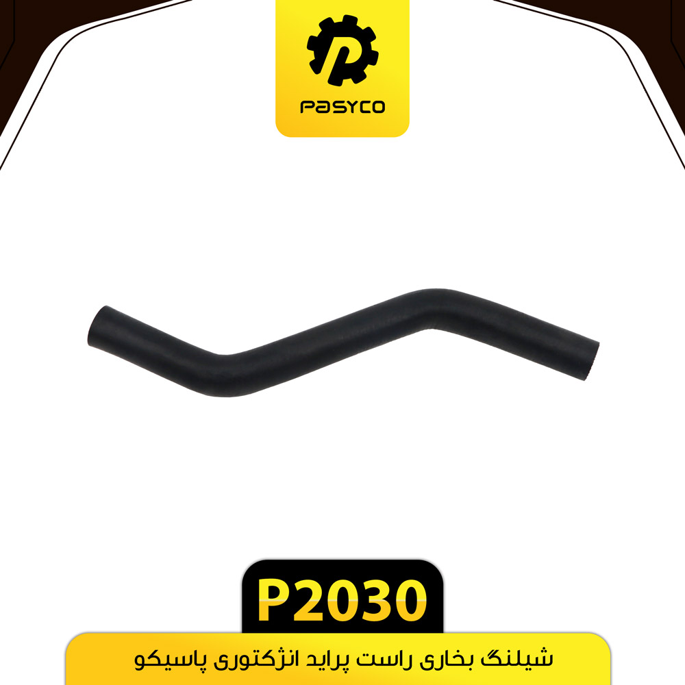 P2030 جنت (شيلنگ) بخاري راست پرايد انژکتوري پاسيکو - تصویر 1