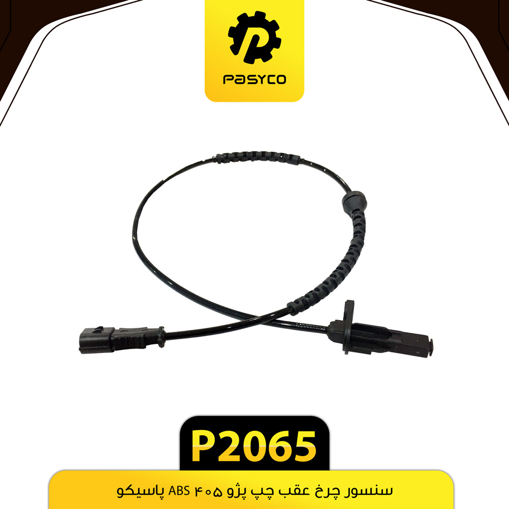 P2065 سنسور چرخ عقب پژو405 چپ ABS پاسيکو - تصویر 1