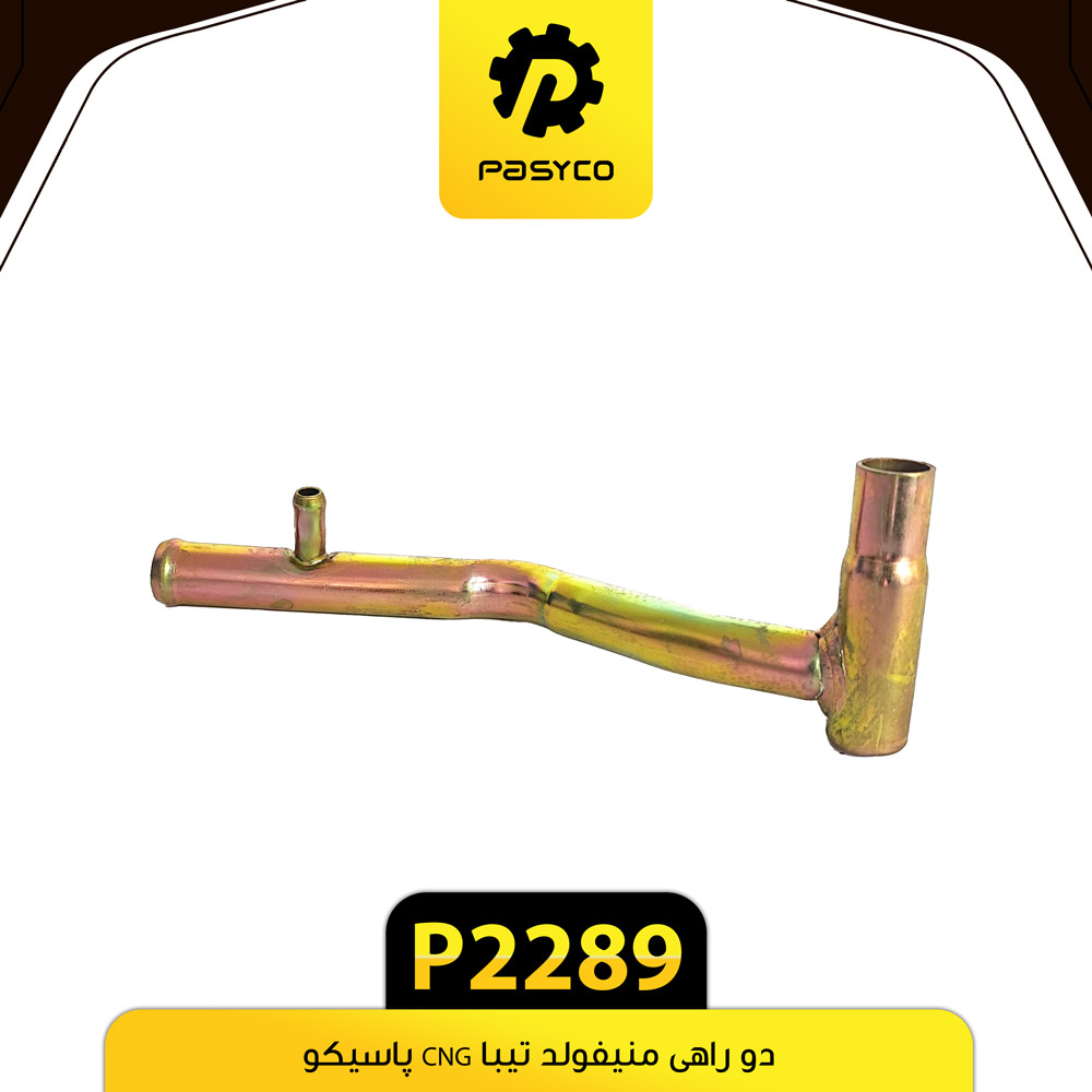P2289 دو راهي منيفولد تيبا CNG پاسيکو - تصویر 1