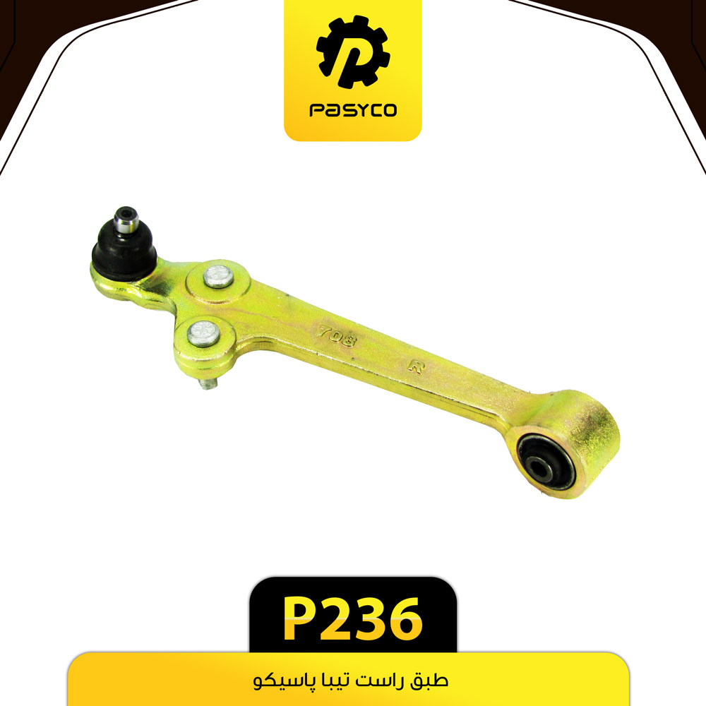 P236 طبق تيبا راست پاسيکو - تصویر 1