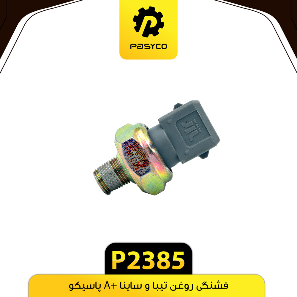 P2385 فشنگي روغن تيبا و ساينا A+ پاسيکو - تصویر 1