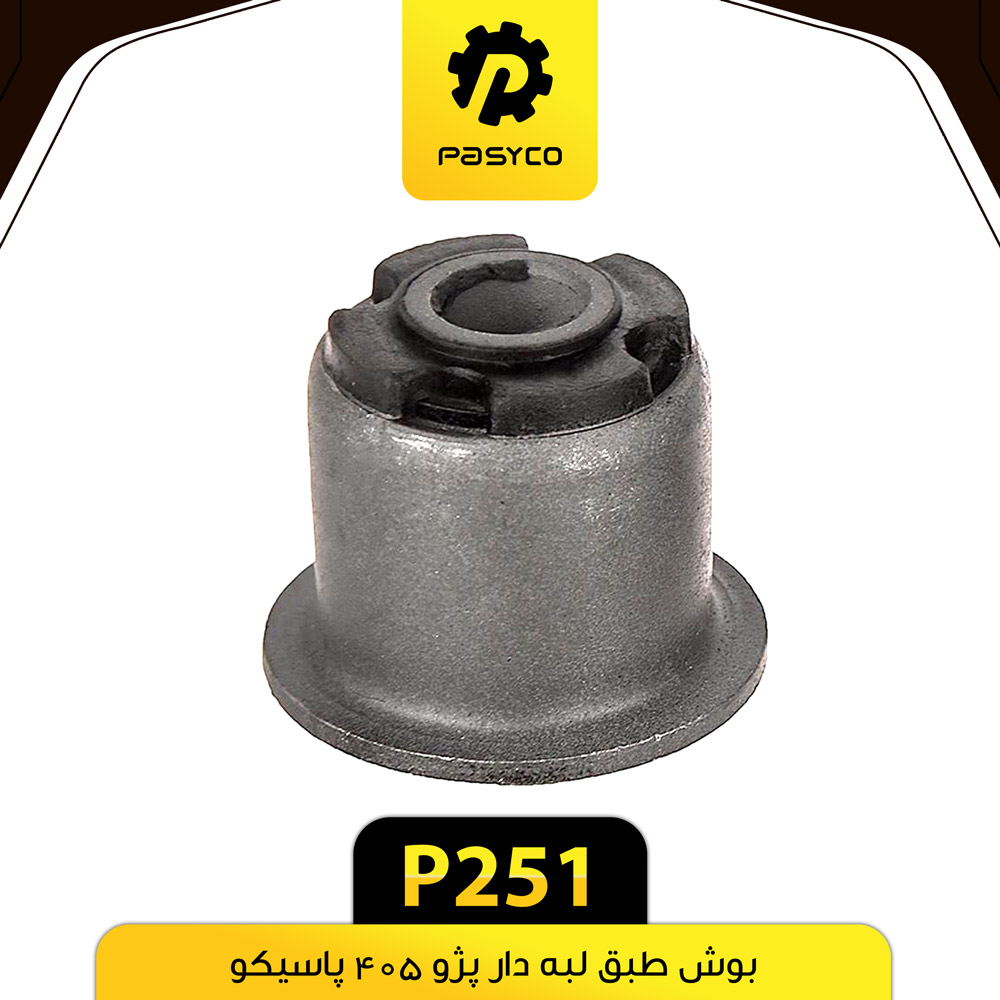 P251 بوش طبق لبه دار پژو405 پاسيکو - تصویر 1