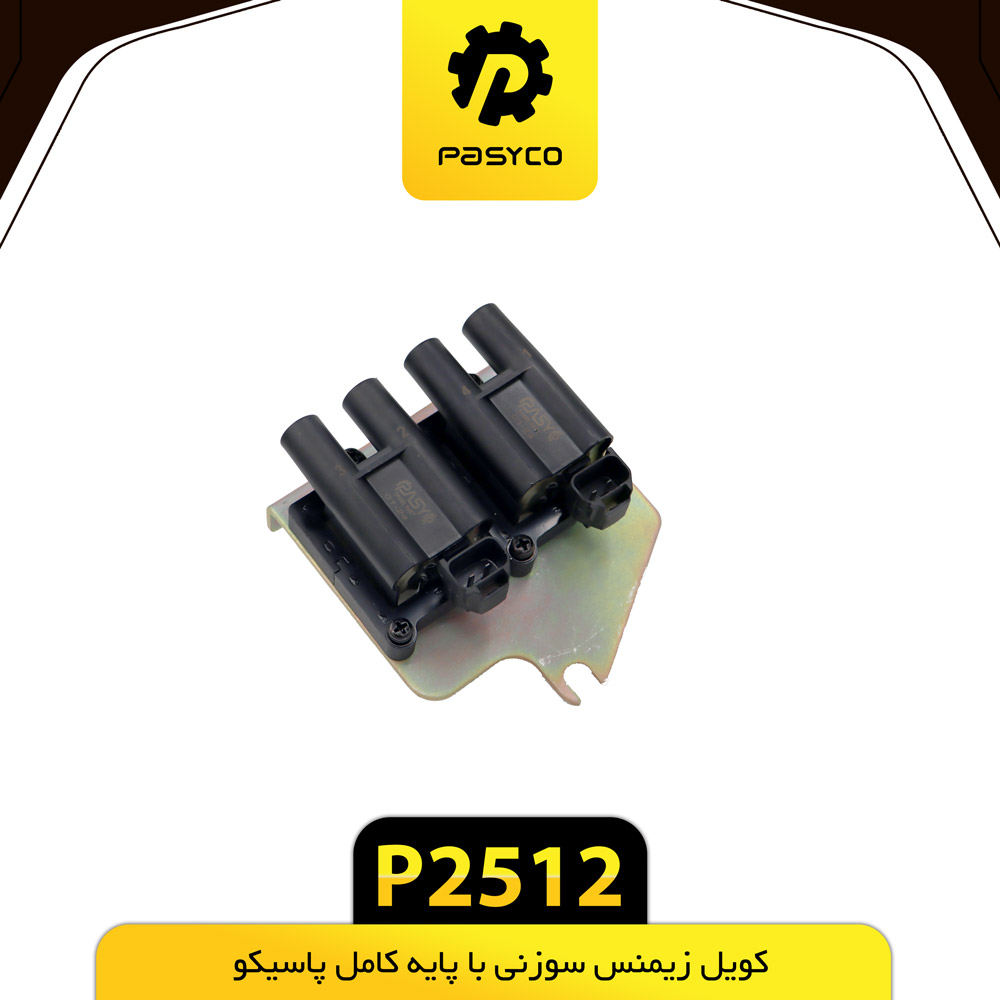 P2512 کويل زيمس سوزني با پايه کامل پاسيکو - تصویر 1