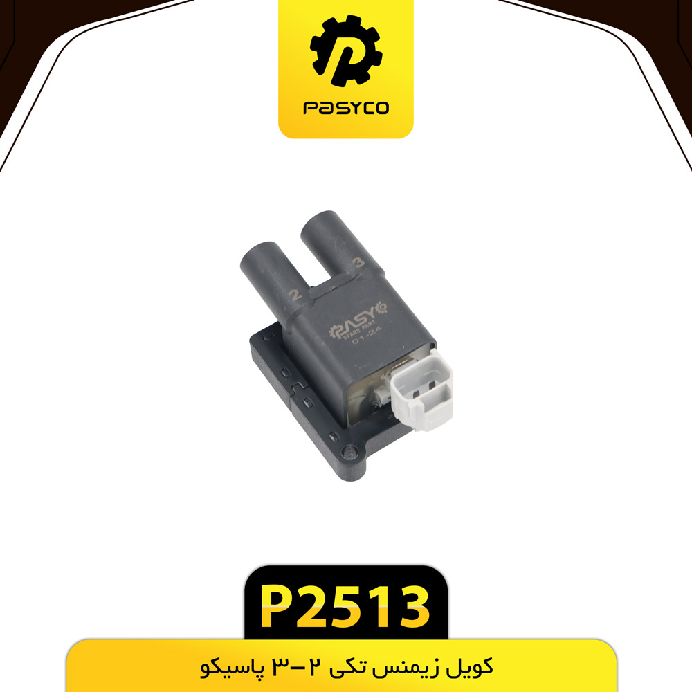 P2513 کويل زيمنس تکي 2-3 پاسيکو - تصویر 1