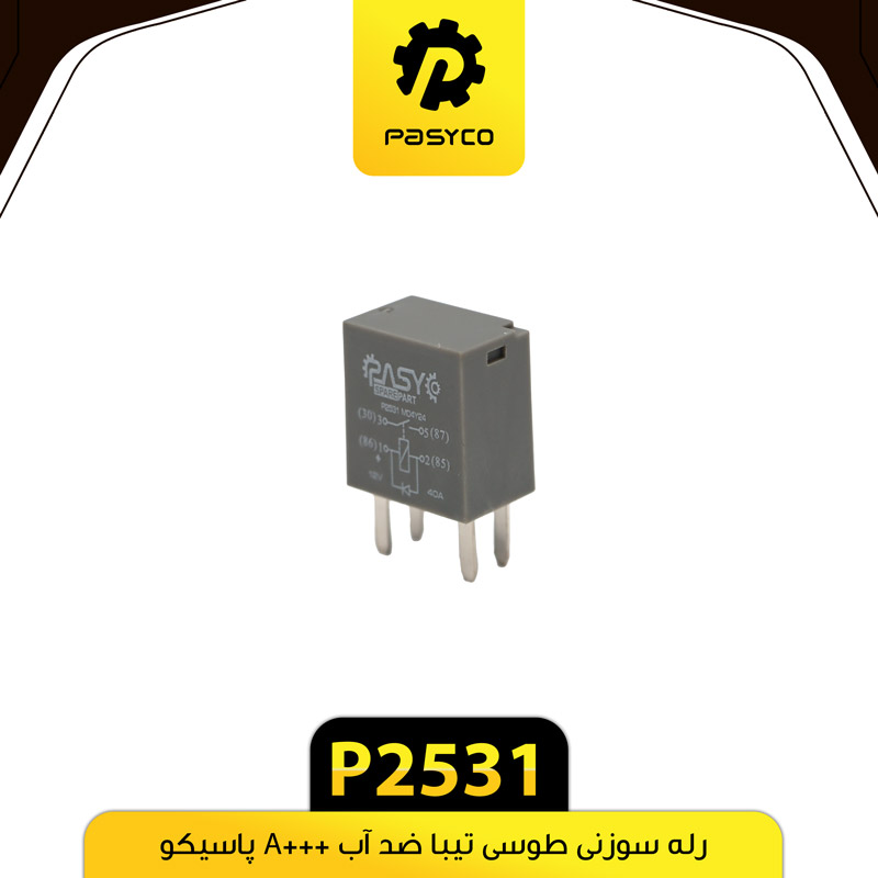 P2531 رله سوزني طوسي تيبا ضد آب +A پاسيکو - تصویر 1