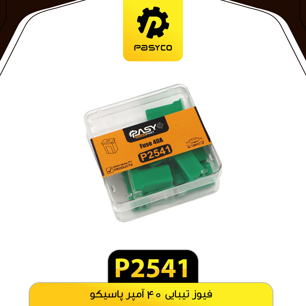 P2541 فيوز تيبايي 40 امپر پاسيکو - تصویر 1