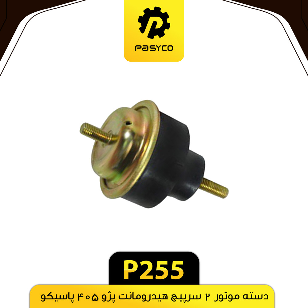 P255 دسته موتور 2سرپيچ هيدرومات پژو405 پاسيکو - تصویر 1
