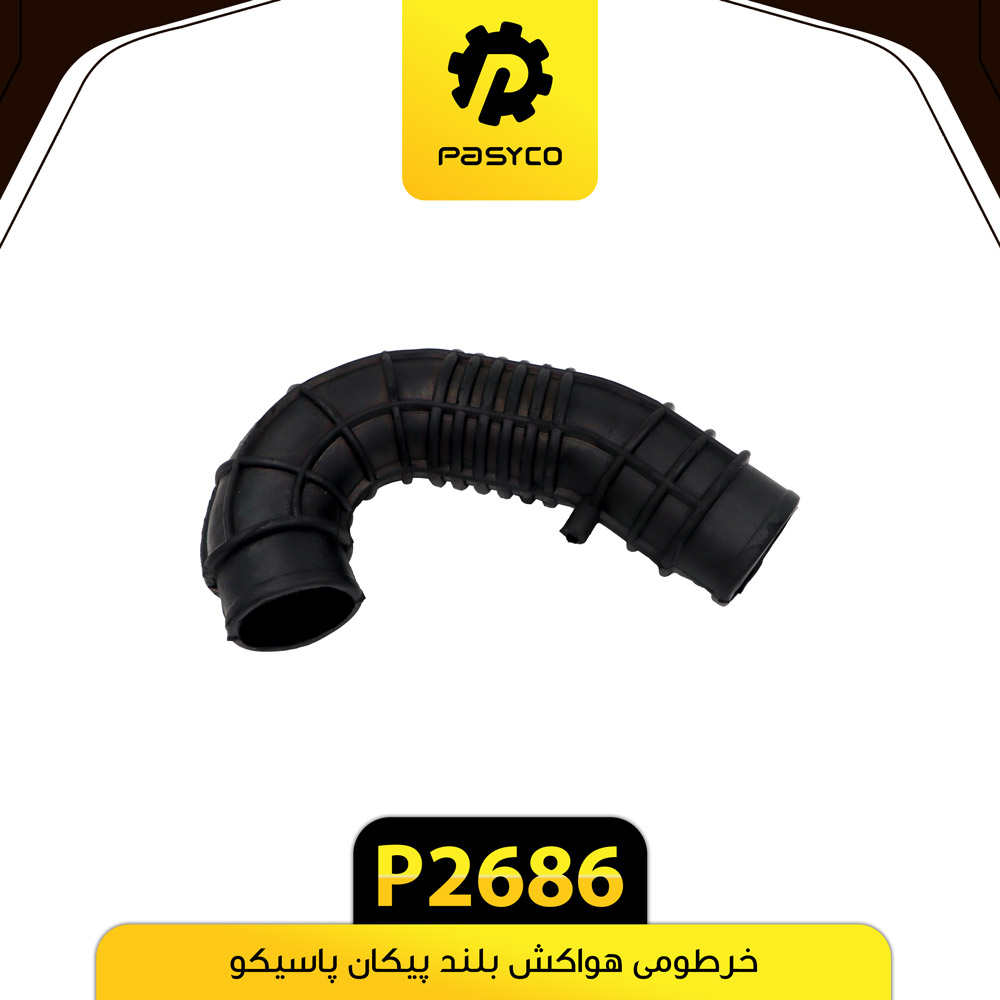 P2686 خرطومي هواکش بلند پيکان پاسيکو - تصویر 1
