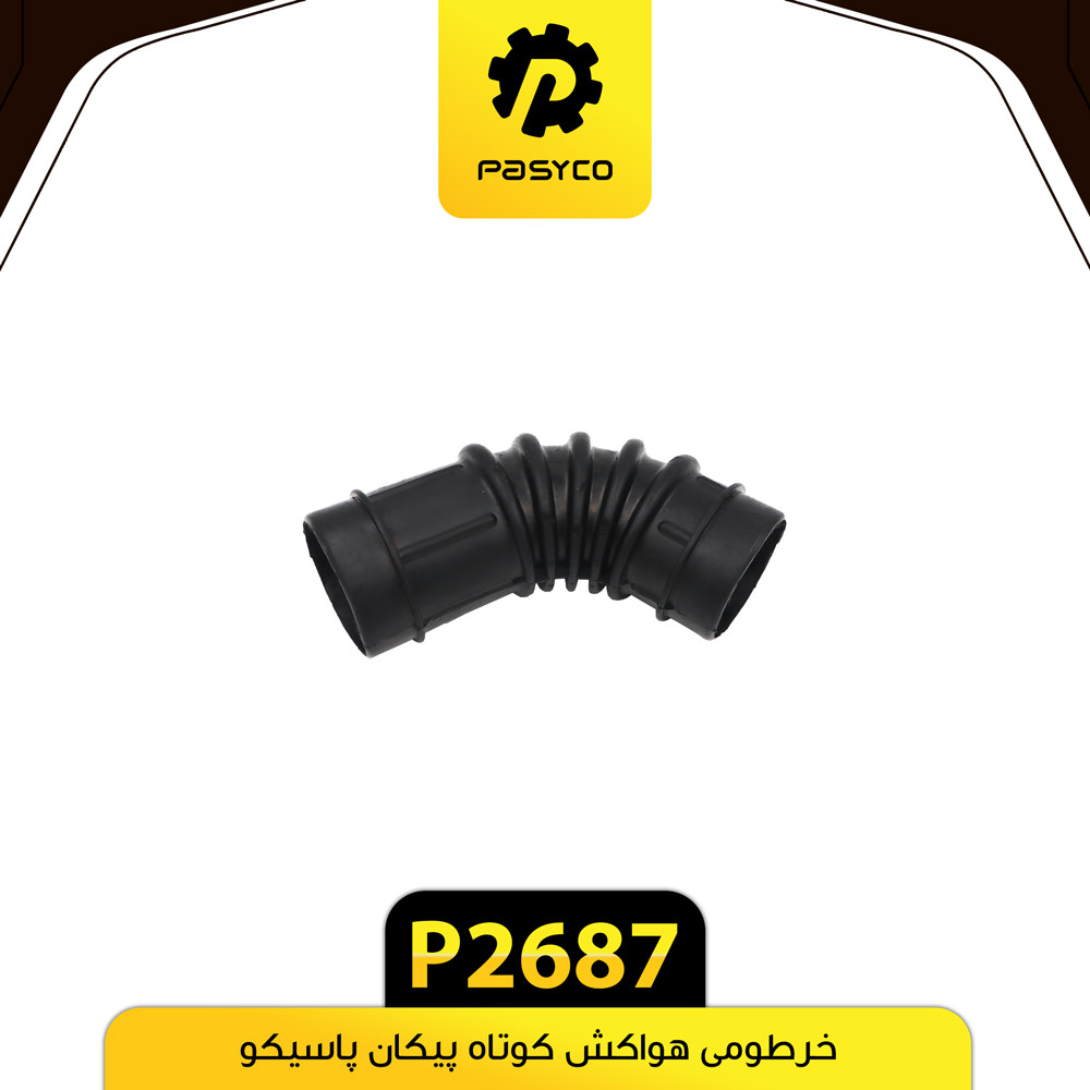 P2687 خرطومي هواکش پيکان کوتاه پاسيکو - تصویر 1