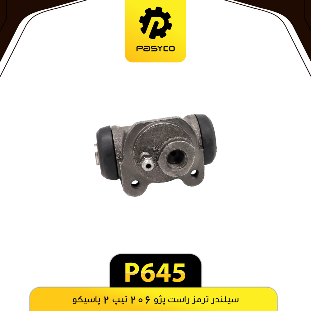 P645 سيلندر ترمز پژو206 تيپ2 راست پاسيکو - تصویر 1