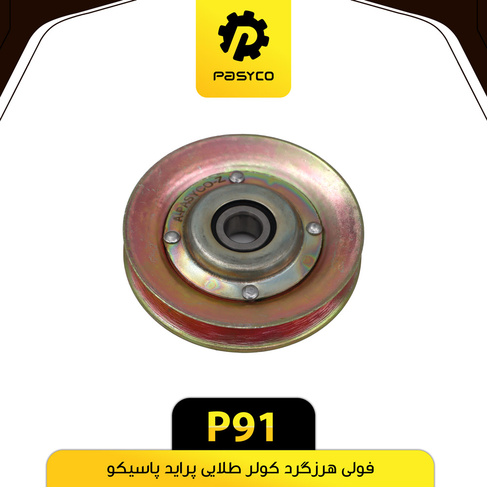 P91 فولي هرزگردفلزي کولر پرايد طلايي پاسيکو - تصویر 1